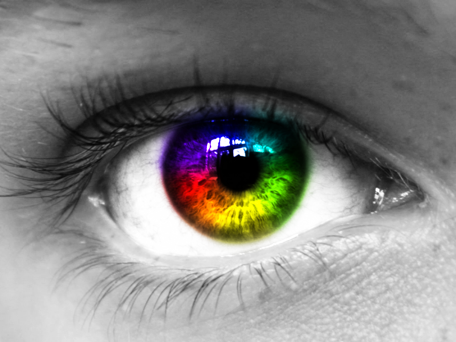 Как человеческий глаз различает цвета